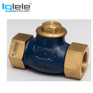 GM NRV Steam Check Valve/Non Return Valve Horizontal Lift Screwed Forged Ss Working Part Heavy (Wj-Neta)