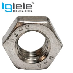 SS 316 Lock Nut
