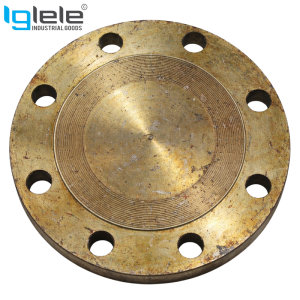 Iglele MS Blind/Dummy Flange D Table – IS 6392 / BS 10 Table D, Mild Steel
